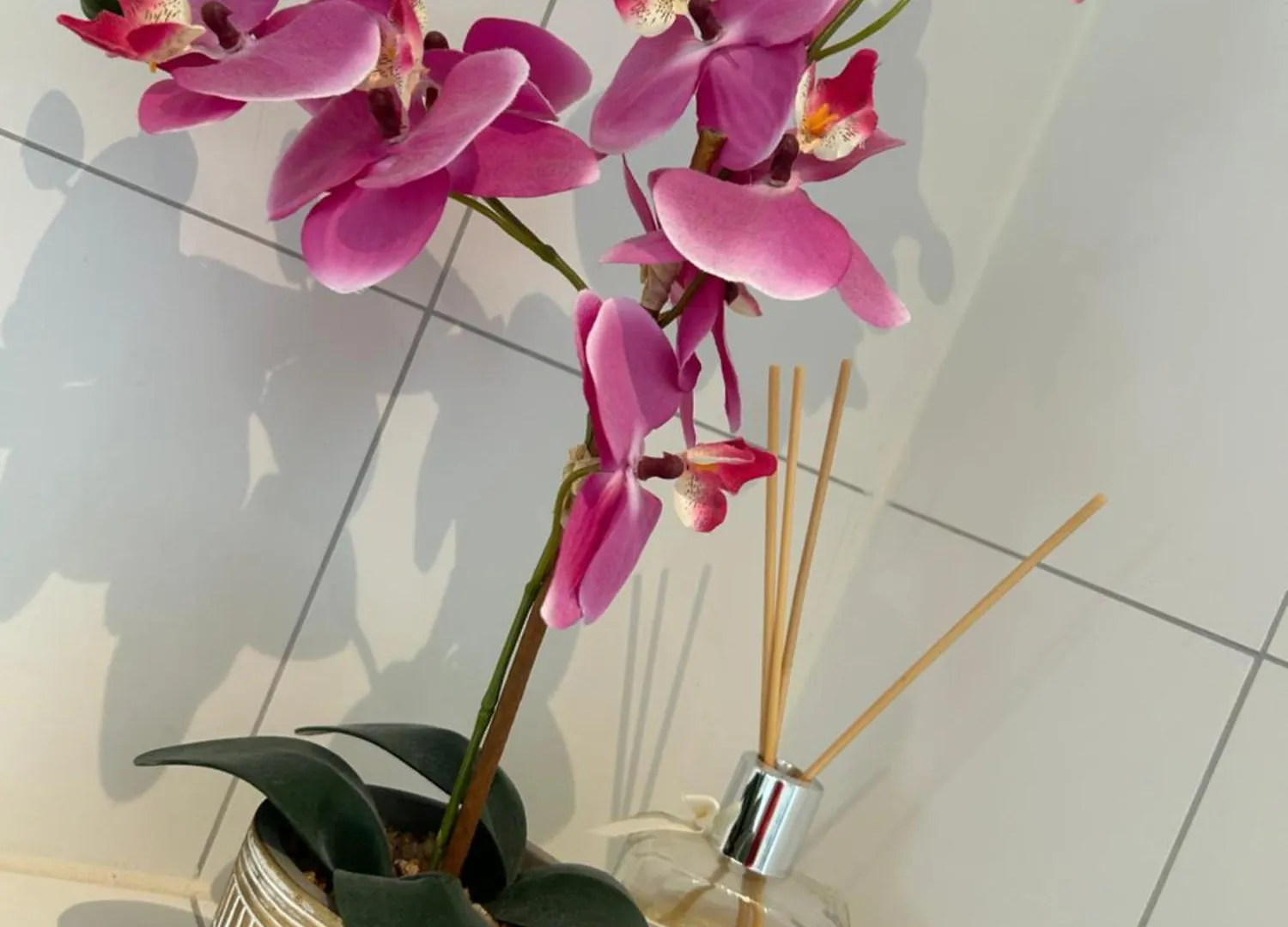 B&B Zunderdorp Amsterdam Pays-Bas